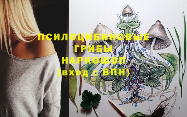 ALPHA-PVP Алексин